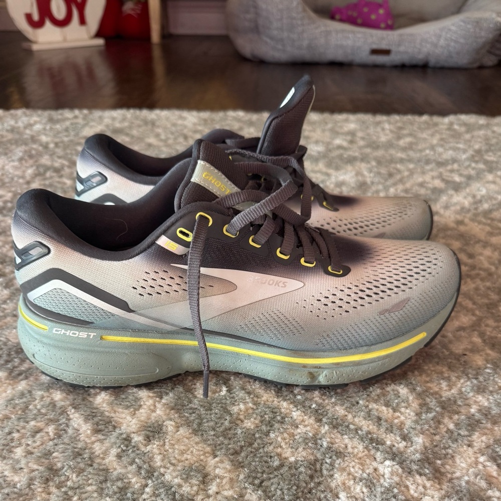 Brooks Ghost 15